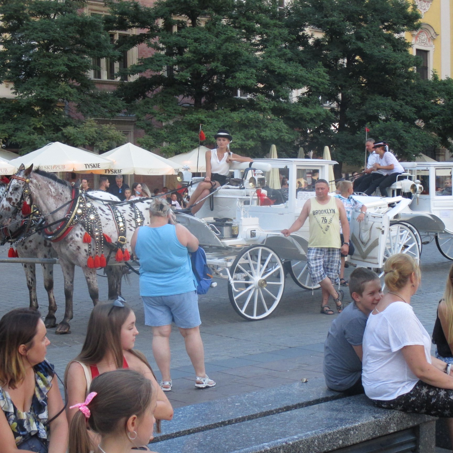 Nie dla dorożek i kolejnego przetargu – apel do Prezydenta Krakowa!