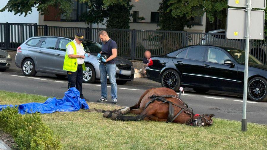 Nie krzywdźmy koni, nie wsiadajmy do dorożek!